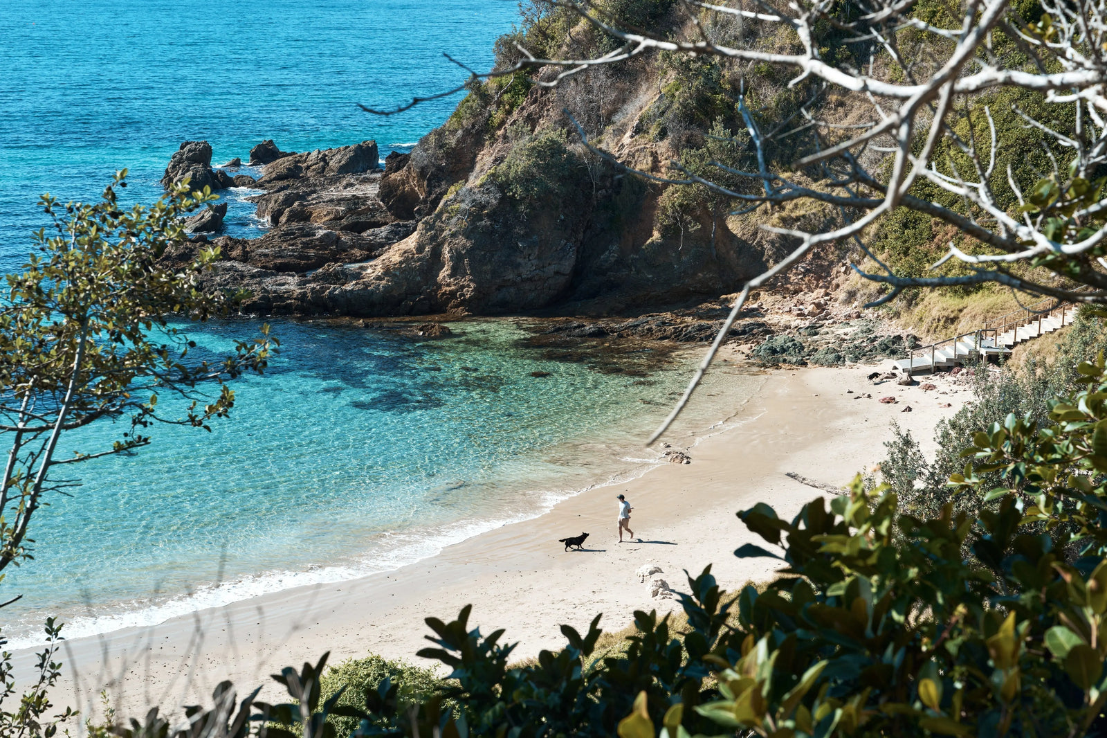 Top Dog Walking Tracks in New South Wales