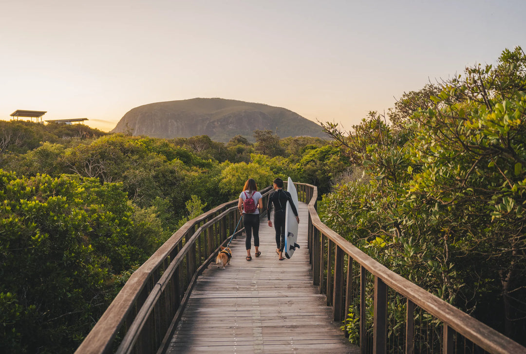 8 Unmissable Canine-Friendly Trails in Queensland