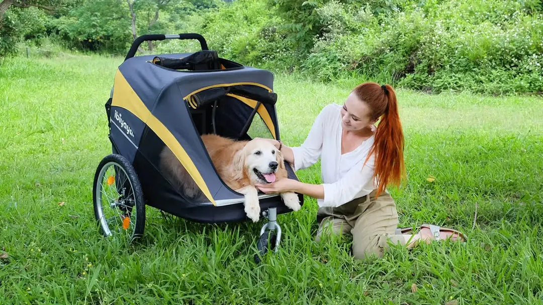 Strollers & Backpacks – Tools to Help Socialise Your Dog on the Go