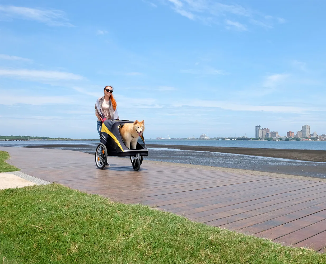 Dog Strollers