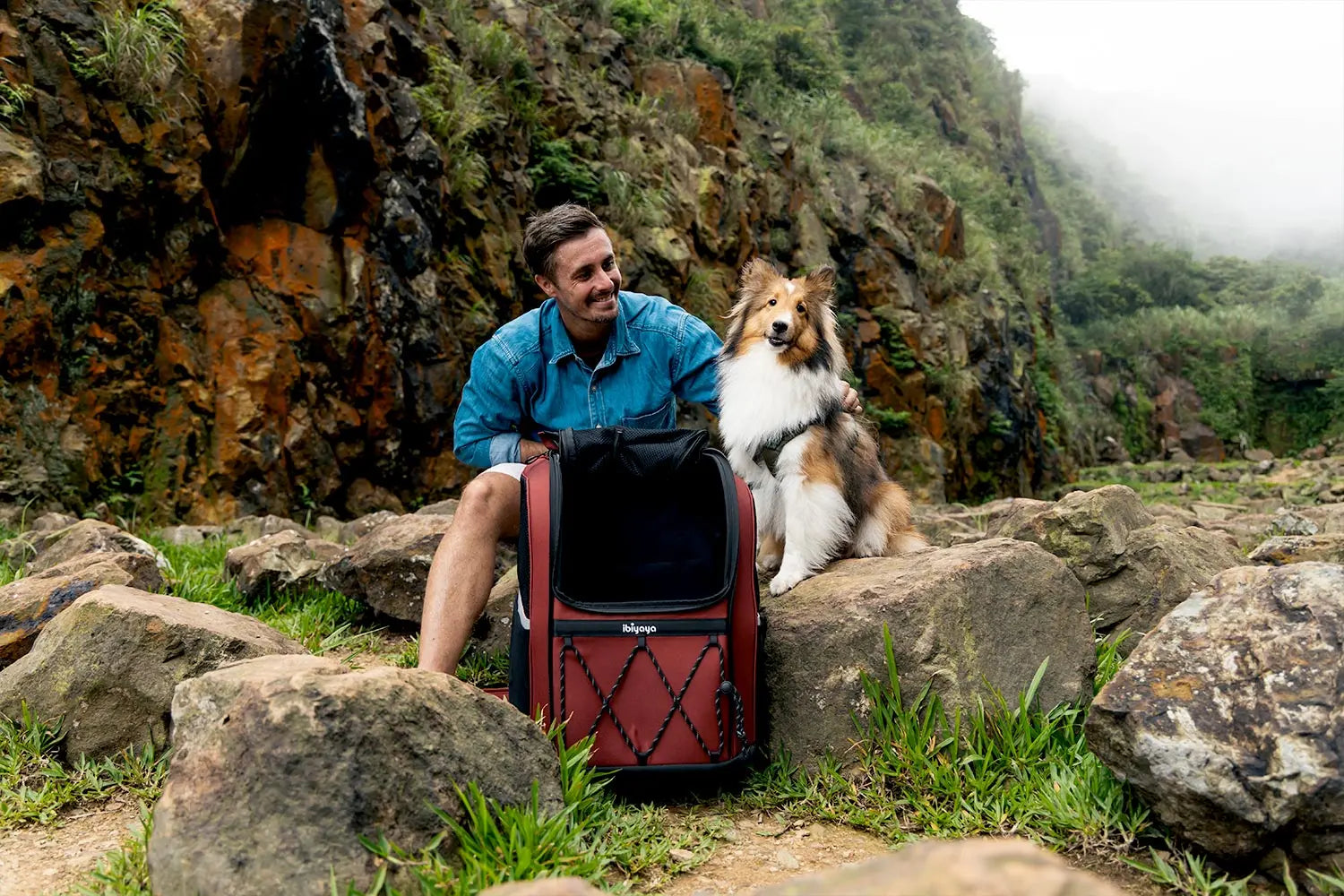 Dog Carrier Backpacks