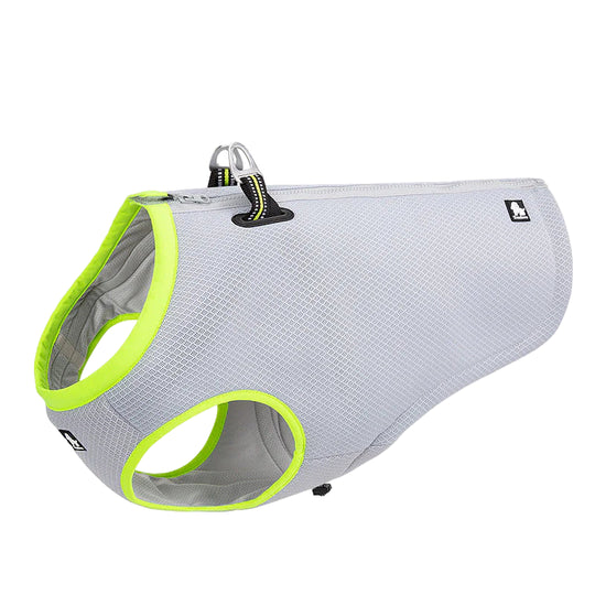 Gray dog harness with green trim on a white background, featuring the Truelove brand logo.