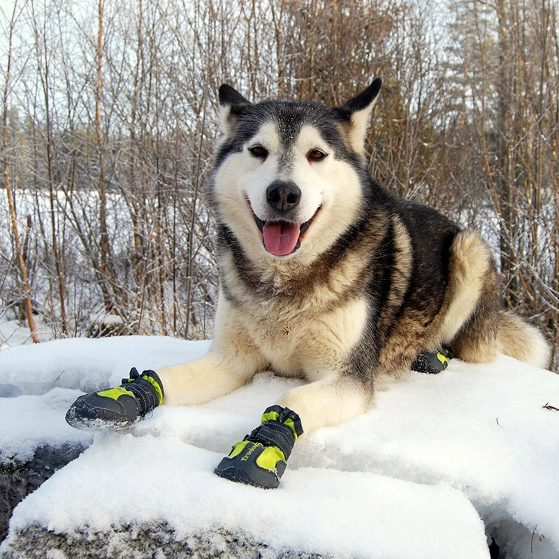 Truelove Anti-Slip Dog Shoe with Hook & Loop Design