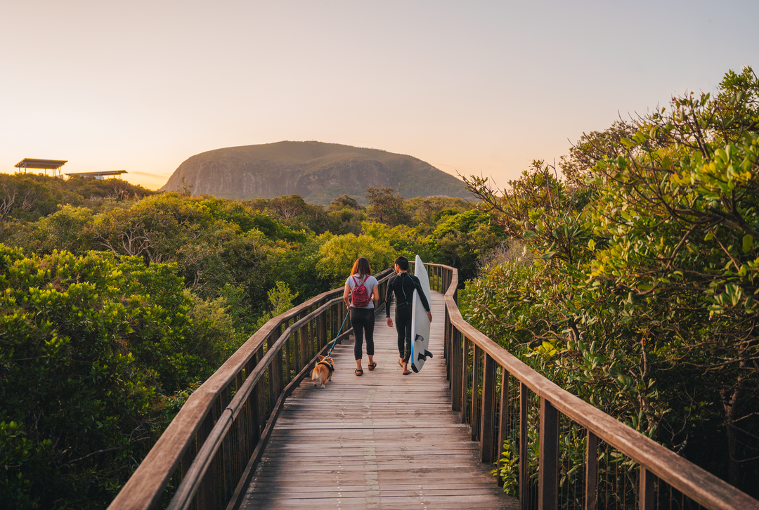 Two people walking on a wooden boardwalk through a forest with a scenic view of mountains.