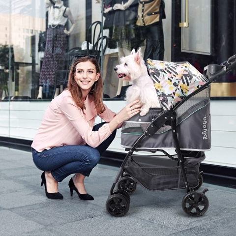 Woman with a dog in a stroller in front of a store window