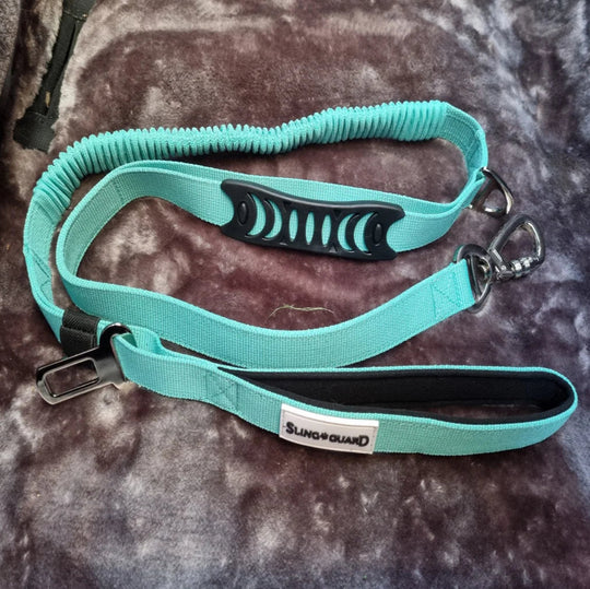 SlingGuard 2 in 1 Car Lead and Walking Leash