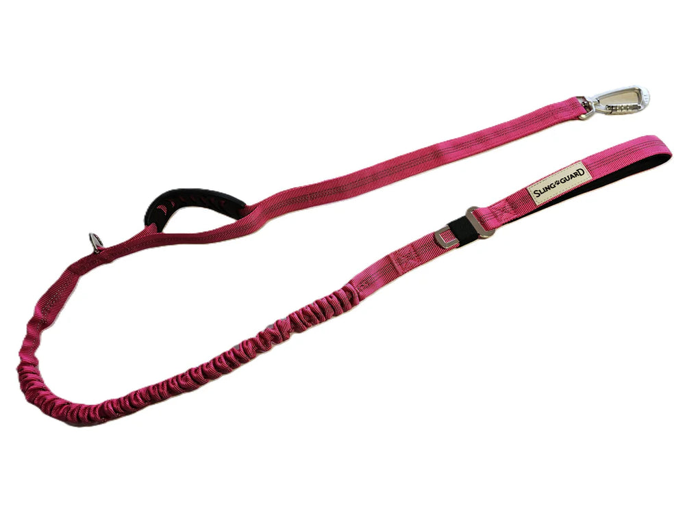 SlingGuard 2 in 1 Car Lead and Walking Leash