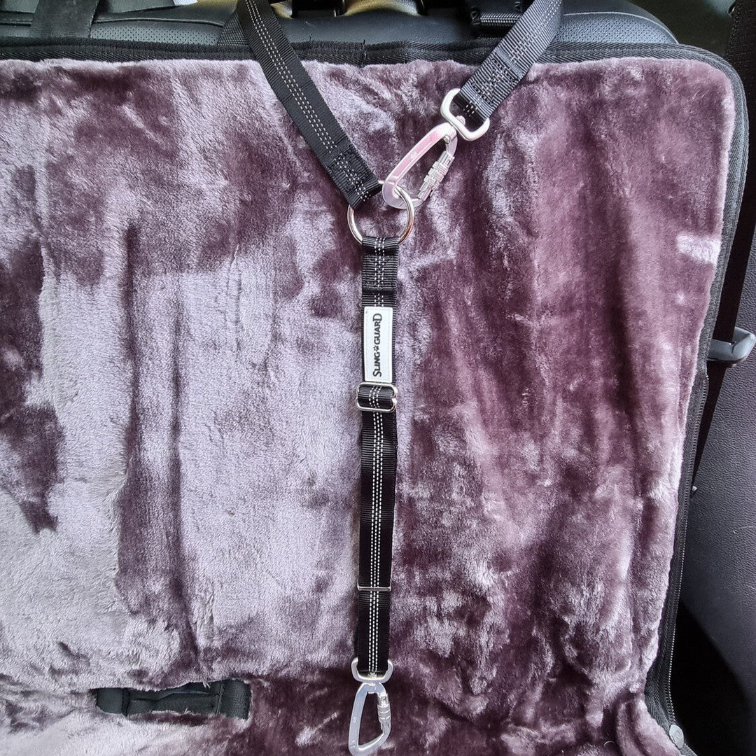 Car seat cover with a harness on a vehicle's back seat