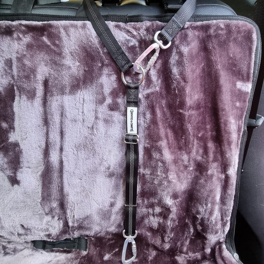 Car seat cover with a harness on a vehicle's back seat