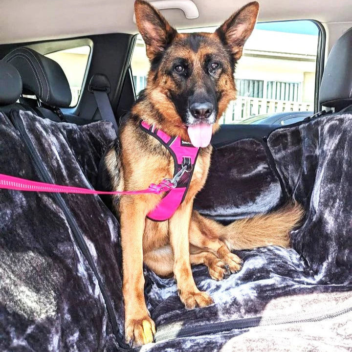 SlingGuard 2-in-1 Car Safety and Walking Harness