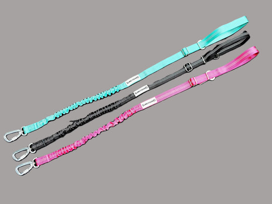 SlingGuard Car Safety Lead for Tall/Large Dogs