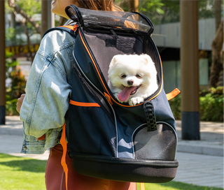 Ibiyaya Ultralight Dog Travel Backpack Carrier
