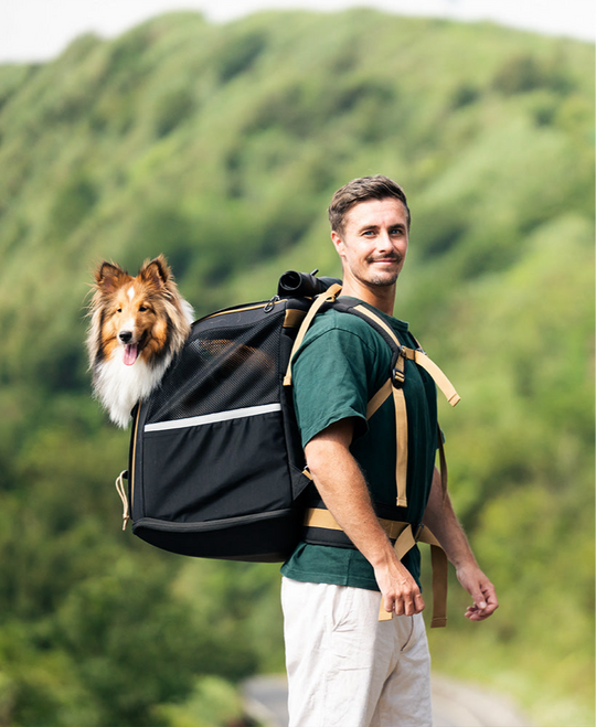 Ibiyaya Load-Lifter Champion Dog Backpack