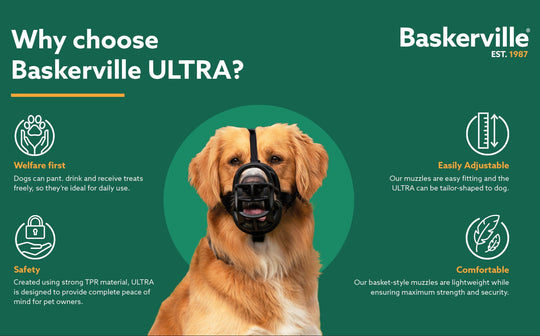 Baskerville Ultra dog muzzle advertisement with a dog wearing a muzzle on a green background.