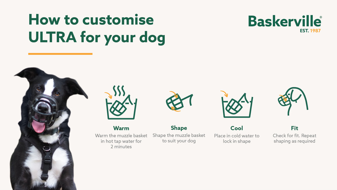 Baskerville Ultra dog muzzle customization guide with a dog and step-by-step icons.