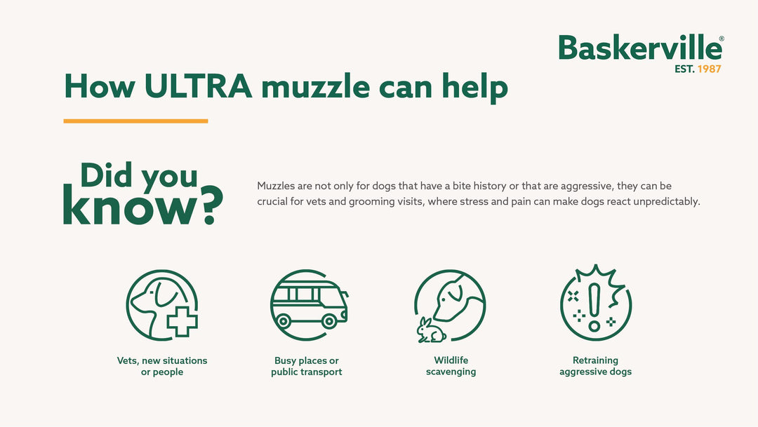 Baskerville Ultra Muzzle advertisement with icons and text on a white background