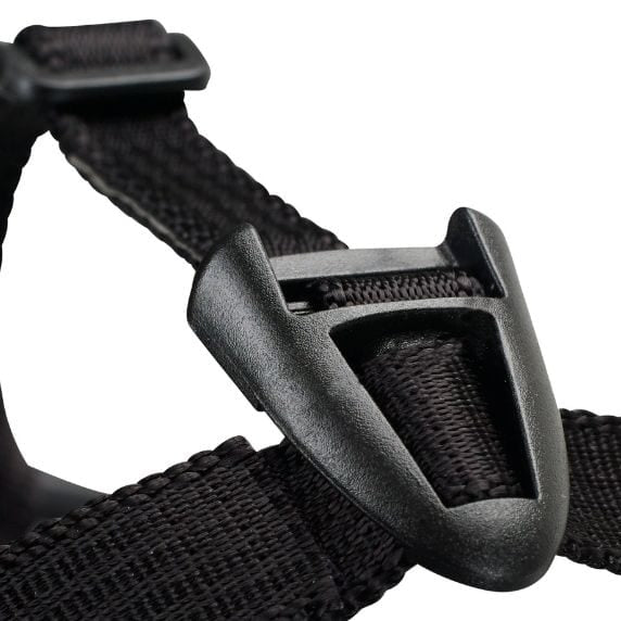 Close-up of a black belt with a buckle on a white background