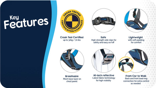 CarSafe - Crash Tested Car Harness