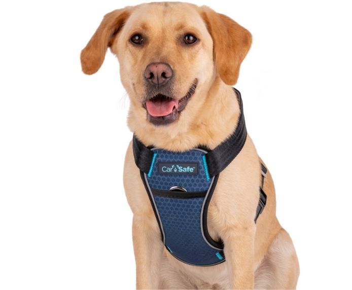 CarSafe - Crash Tested Car Harness