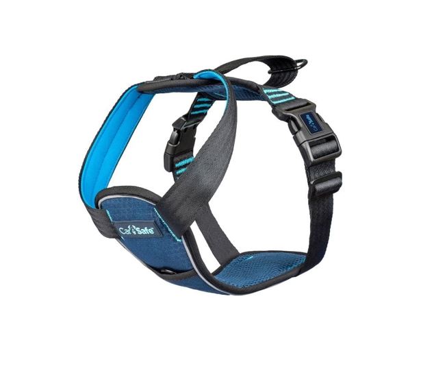 CarSafe - Crash Tested Car Harness
