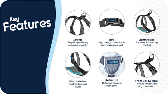 CarSafe - Travel Harness