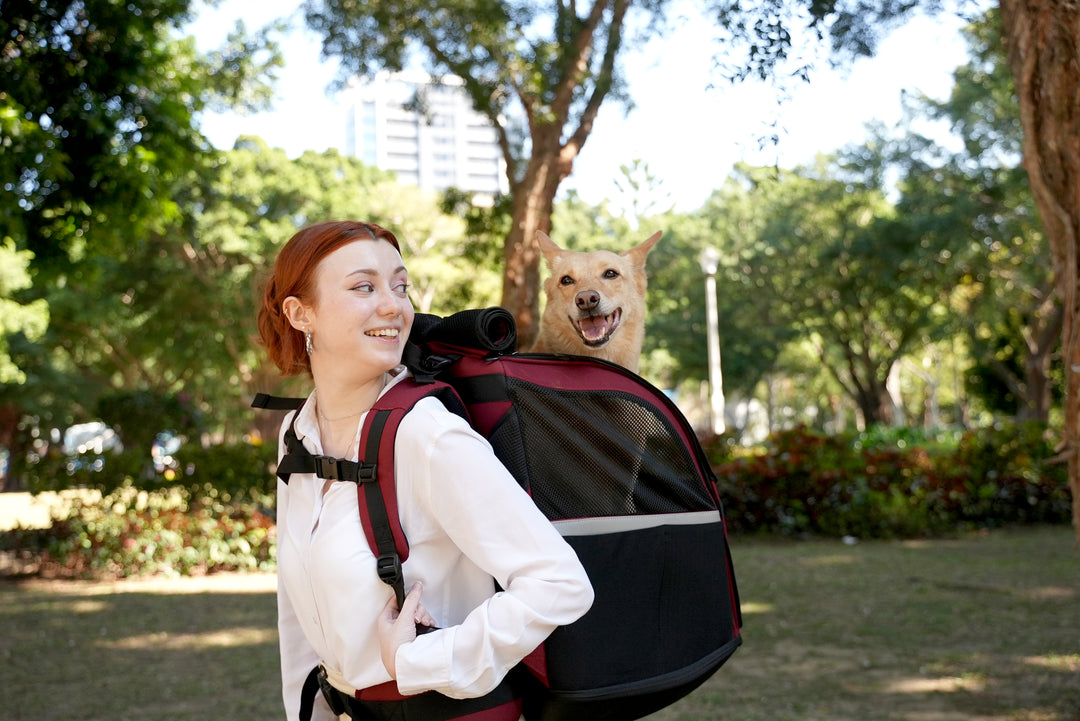 Woman with a pet carrier featuring a dog peeking out, standing in a park.
