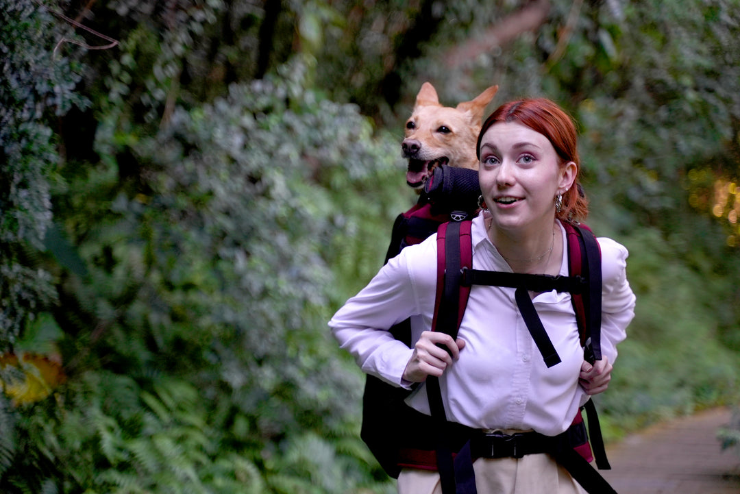 Ibiyaya Load-Lifter Champion Dog Backpack