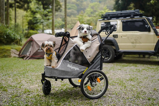 Ibiyaya Happy Pet V2 Trailer & Jogger with Bicycle Attachment