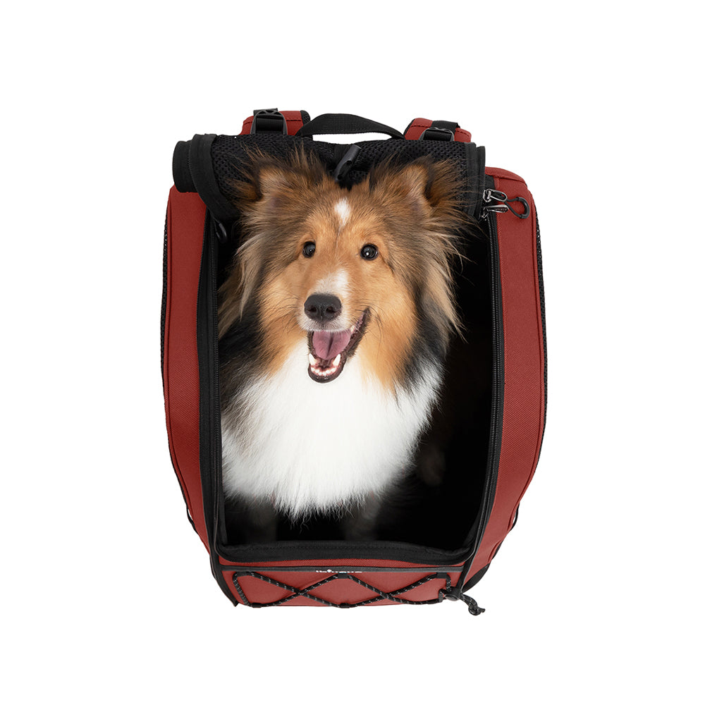 Ibiyaya Load-Lifter Champion Dog Backpack