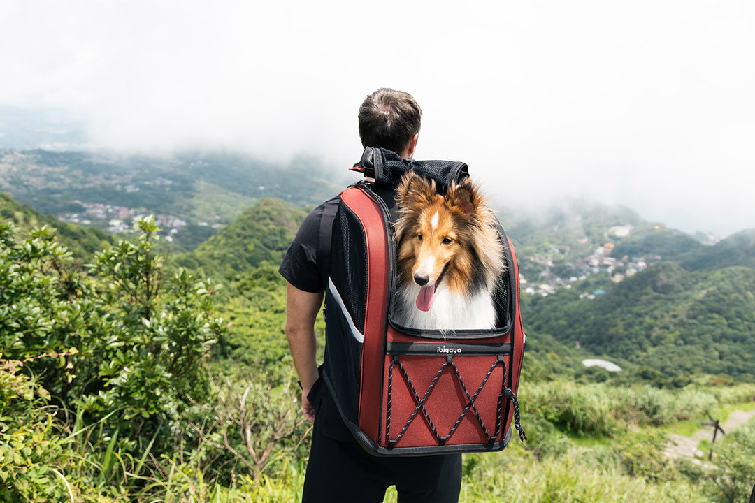 Ibiyaya Load-Lifter Champion Dog Backpack