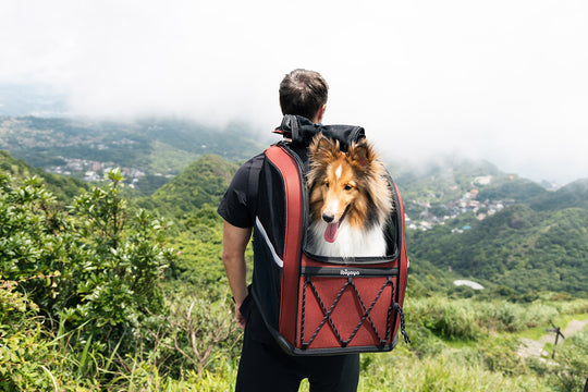 Ibiyaya Load-Lifter Champion Dog Backpack
