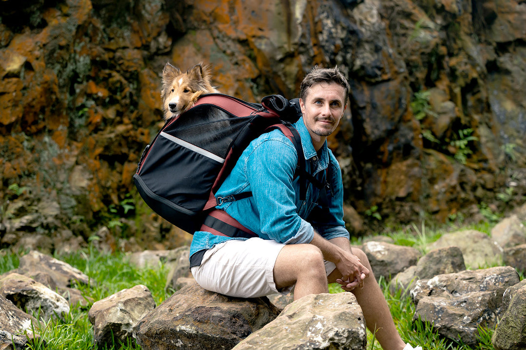 Ibiyaya Load-Lifter Champion Dog Backpack