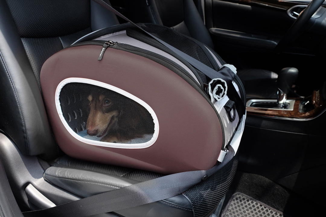 Ibiyaya 5-in-1 Combo EVA Pet Carrier & Stroller