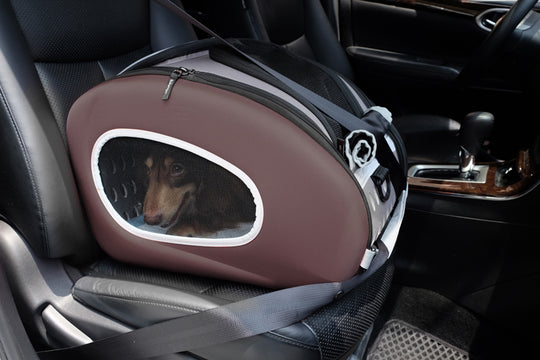 Ibiyaya 5-in-1 Combo EVA Pet Carrier & Stroller
