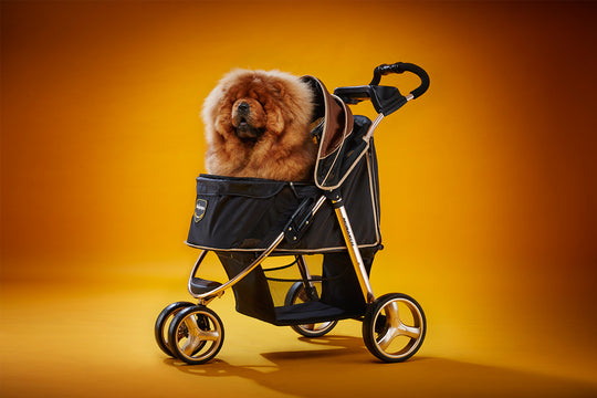Ibiyaya Monarch Premium Pet Jogger