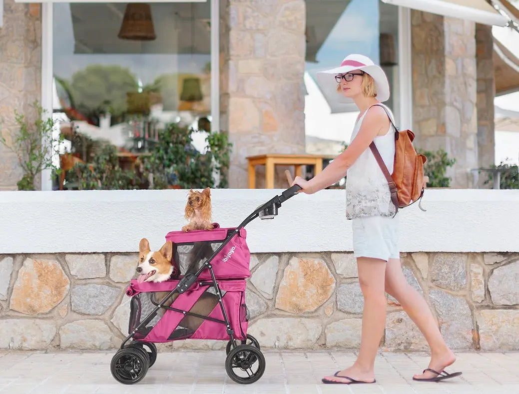 Ibiyaya Double Decker Pet Stroller for Multiple Pets Ibiyaya