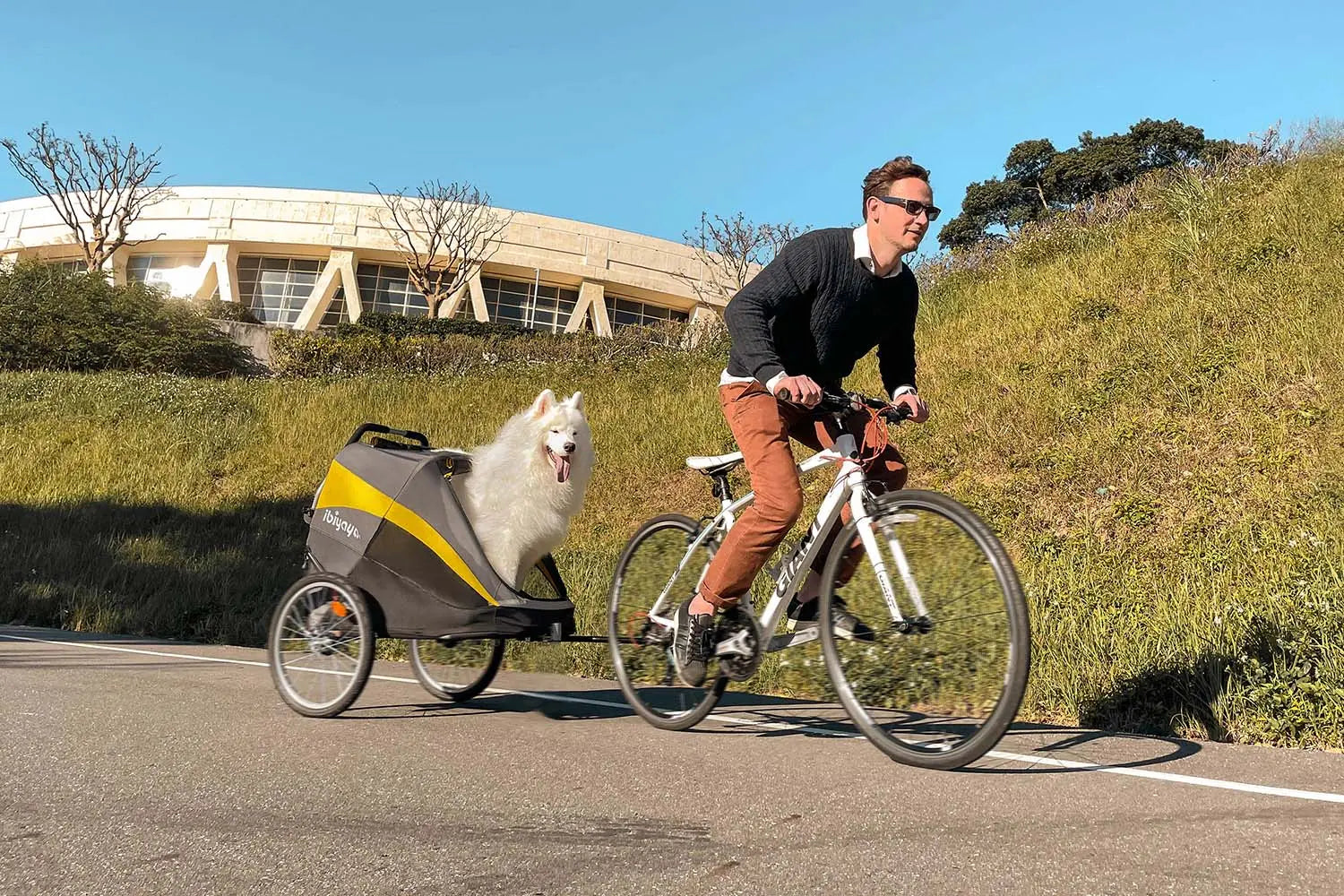 Ibiyaya The Hercules Heavy Duty Pet Stroller Ibiyaya