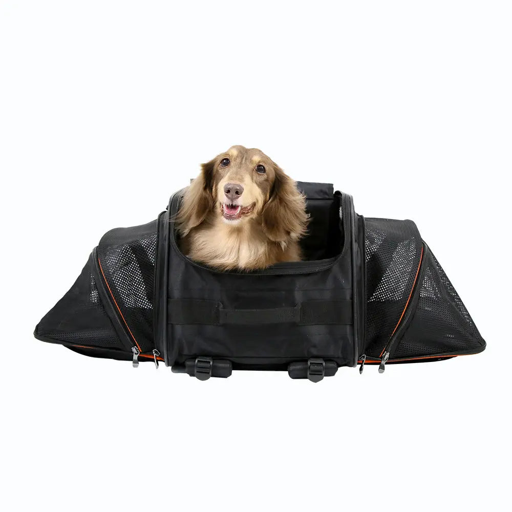 Ibiyaya JetPaw 3-in-1 Pet Stroller with Removable Carrier Ibiyaya