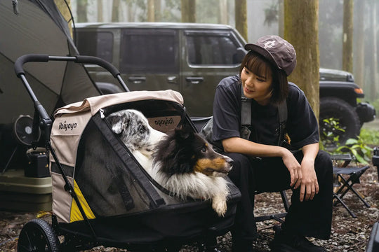 Ibiyaya Minika 3-in-1 Pet Stroller System - Arizona Tan Ibiyaya