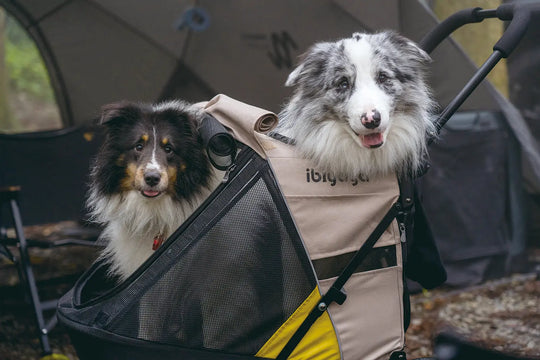 Ibiyaya Minika 3-in-1 Pet Stroller System - Arizona Tan Ibiyaya