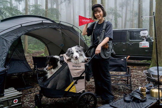 Ibiyaya Minika 3-in-1 Pet Stroller System - Arizona Tan Ibiyaya