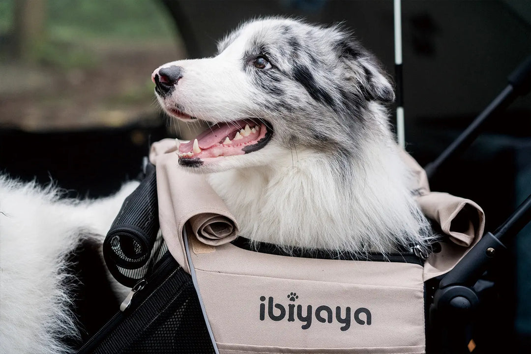 Ibiyaya Minika 3-in-1 Pet Stroller System - Arizona Tan Ibiyaya