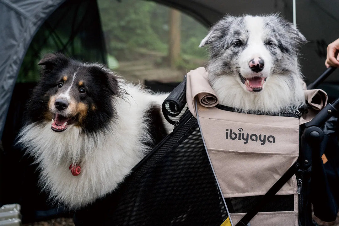 Ibiyaya Minika 3-in-1 Pet Stroller System - Arizona Tan Ibiyaya