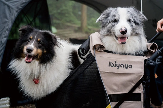 Ibiyaya Minika 3-in-1 Pet Stroller System - Arizona Tan Ibiyaya