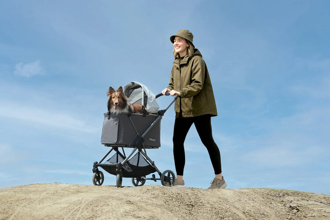 Ibiyaya Maxi Deep Carriage Pet Stroller Ibiyaya