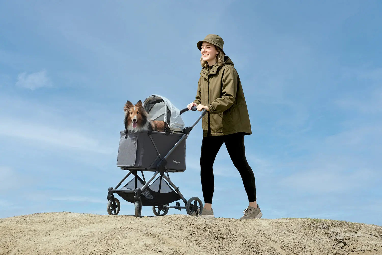 Ibiyaya Maxi Deep Carriage Pet Stroller Ibiyaya