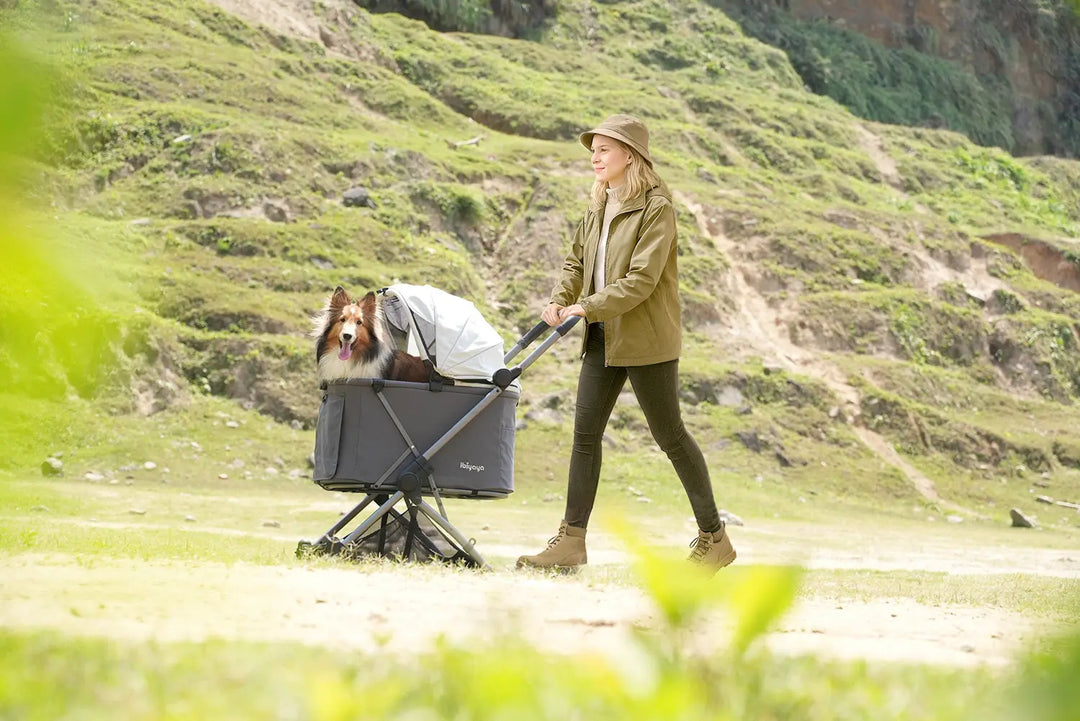 Ibiyaya Maxi Deep Carriage Pet Stroller Ibiyaya