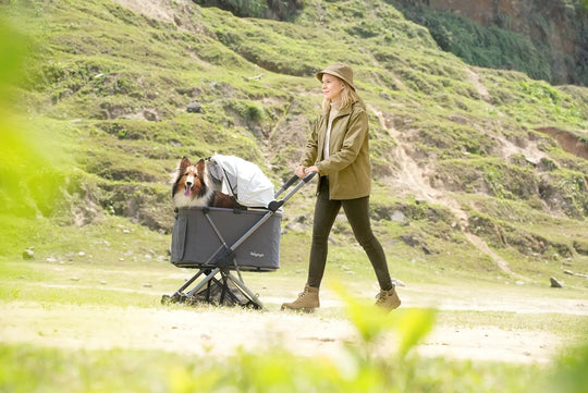 Ibiyaya Maxi Deep Carriage Pet Stroller Ibiyaya