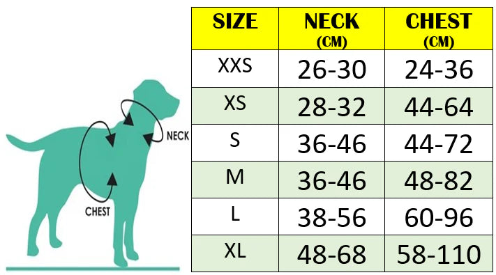 SlingGuard 2-in-1 Car Safety and Walking Harness