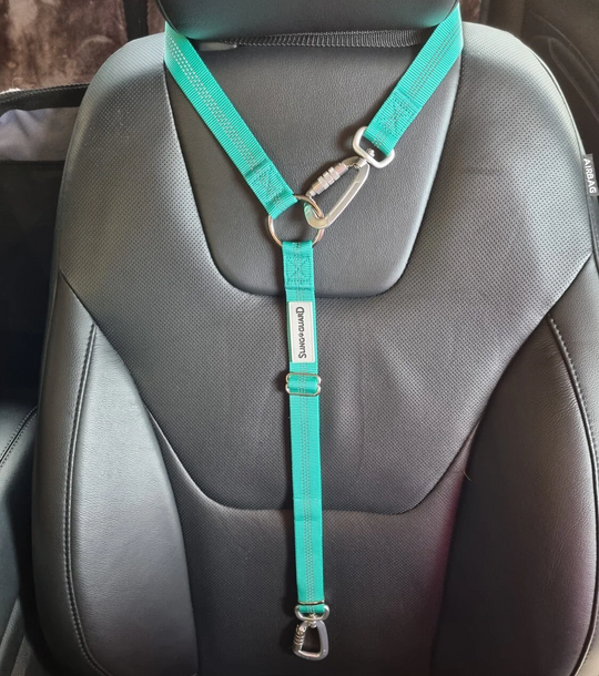 SlingGuard Car Headrest Safety Lead